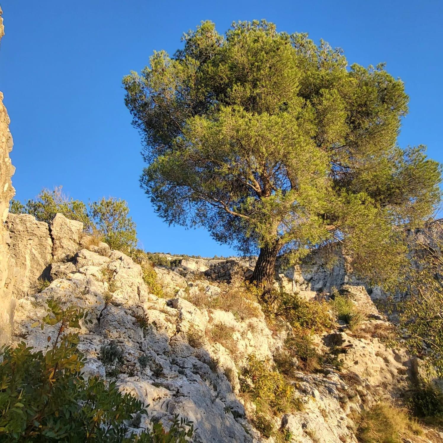 Apartmán La Calade LʼIsle-sur-la-Sorgue Exteriér fotografie