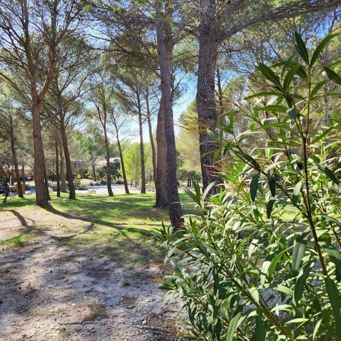 Apartmán La Calade LʼIsle-sur-la-Sorgue Exteriér fotografie