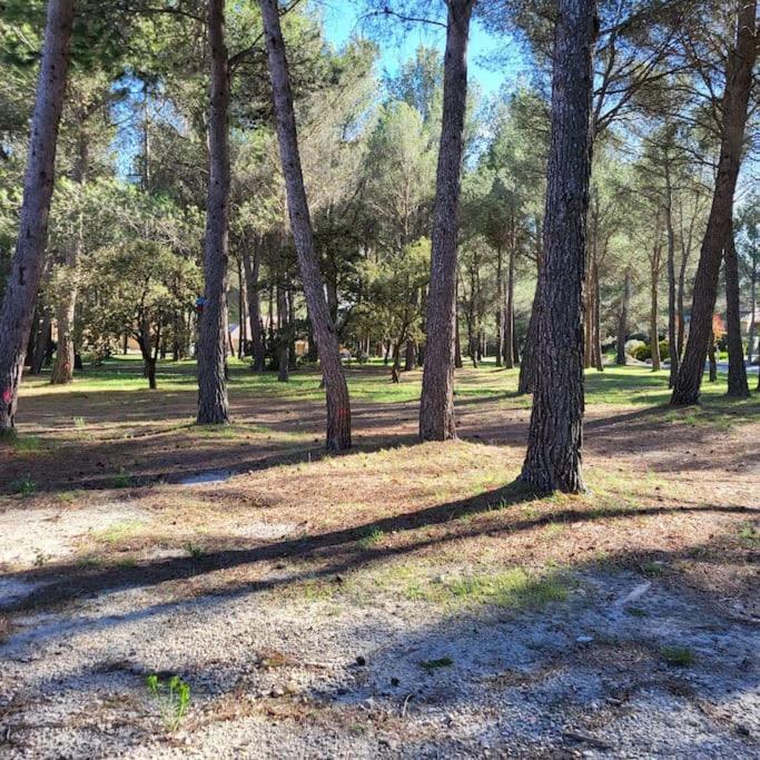 Apartmán La Calade LʼIsle-sur-la-Sorgue Exteriér fotografie